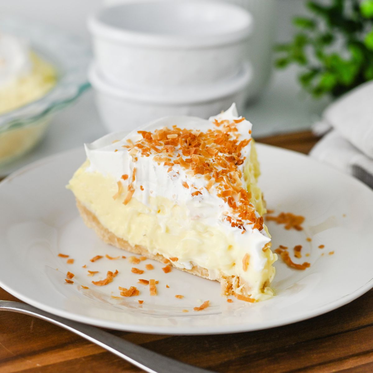 Easy Coconut Cream Pie (No Bake)