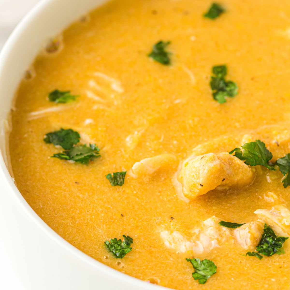 Old Fashioned Chicken Vegetable Soup